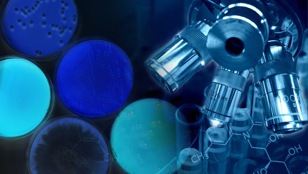 材料科学与工程是冷门专业吗,材料科学与工程专业考研科目