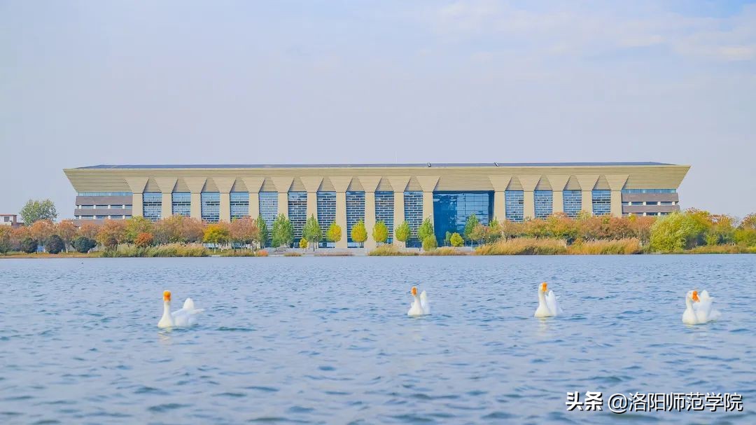 洛师好考吗,洛师最好的专业