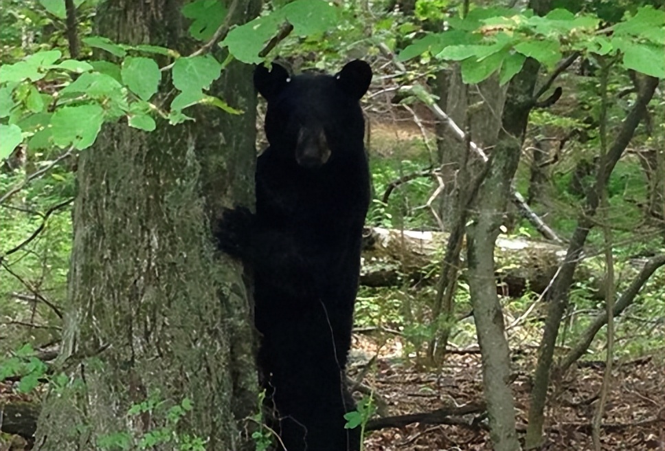 鏉戞皯鎹″埌榛戠唺骞煎唇濂冲効,杈藉畞鍐滃鎹″埌榛戠唺骞煎唇