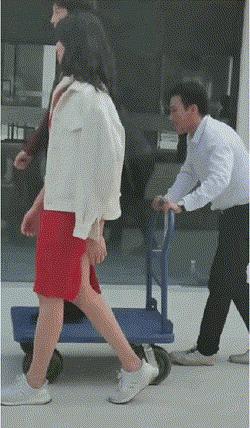 假骑行假徒步犯罪吗,假马骑着马跑