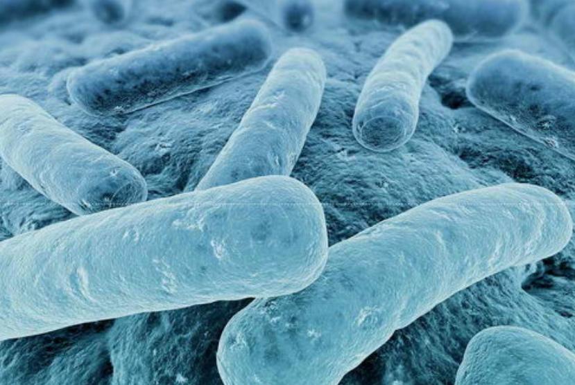 甲硝唑误吃了有什么影响,甲硝唑再好用也要警惕4种副作用