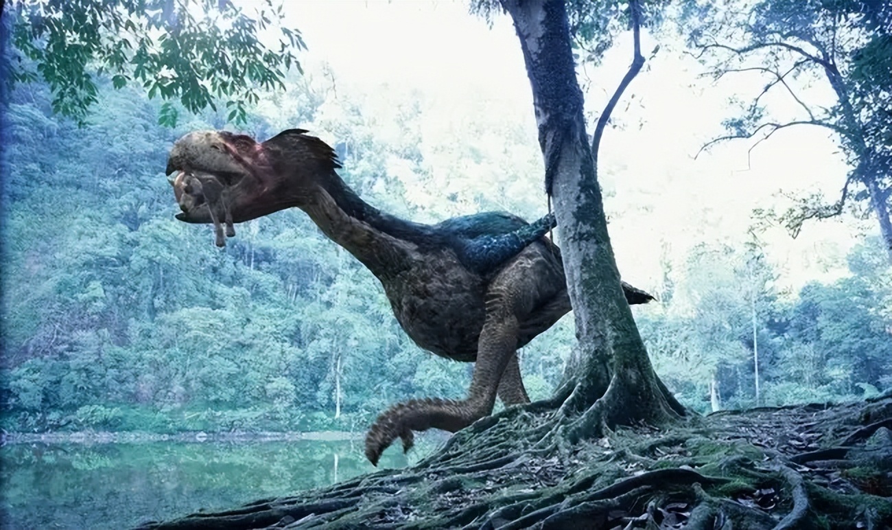 鸟翅膀退化,鸟退化了翅膀