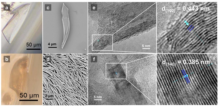 可生物降解有机铁电晶体,可溶高分子