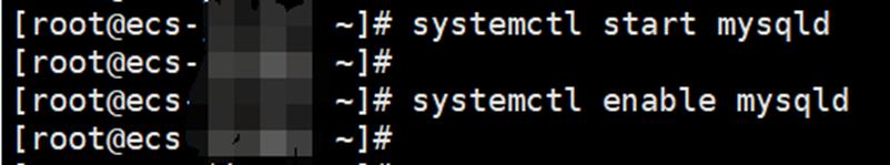 看我如何连夜自建网站背刺我的求职对手们