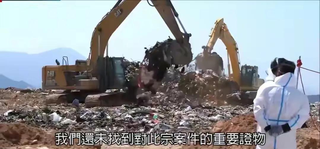 香港28岁名媛蔡天凤因为什么被害,香港28岁名媛蔡天凤最新进展