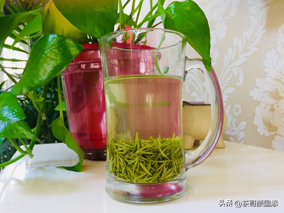 这几种绿茶级别你能忍到哪个,哪些绿茶各方面都很相似