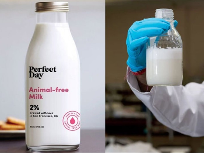 世界食品品质大奖名单,解析2019世界食品创新奖入围产品