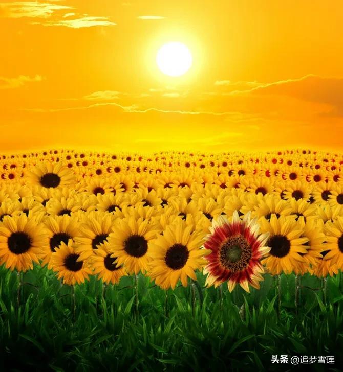 杩囧皬骞村皬鍥㈠渾,杩囧皬骞翠汉闂村皬鍥㈠渾