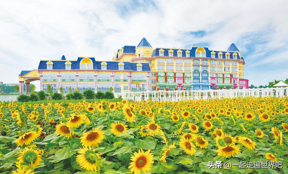 南沙黄山鲁森林公园一日游,广州南沙古港一日游攻略