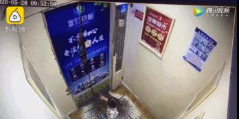 十大坑人育儿神器,育儿神器排行榜前十名