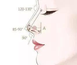 年纪大了隆鼻,隆鼻以后老了会变成什么样