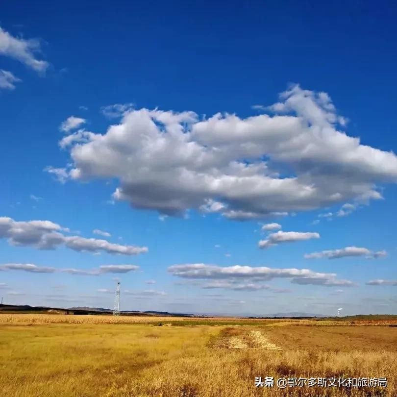 一个温暖的城市鄂尔多斯,鄂尔多斯一个温暖世界的城市