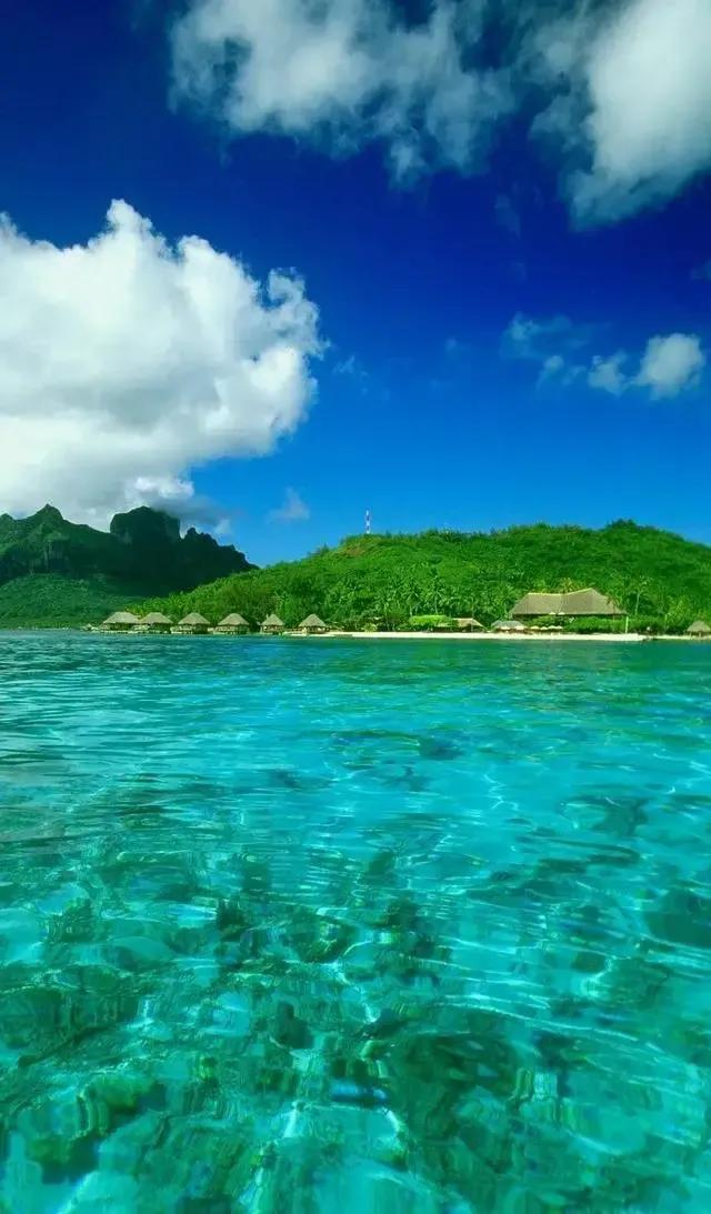 2022年壬寅年虎年日历表,2022年壬寅年开始走甲戌大运