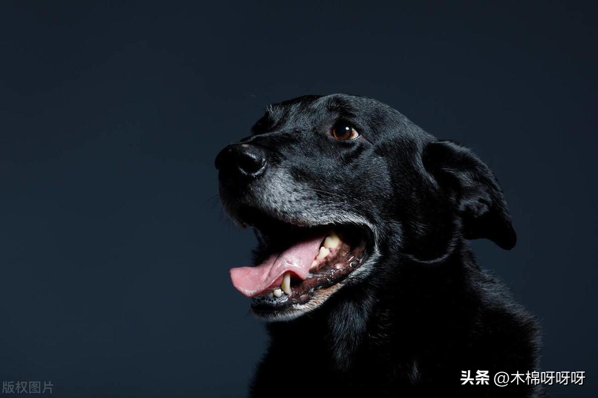 商业分析常用思维方法,学完就掌握商业分析必备技能了