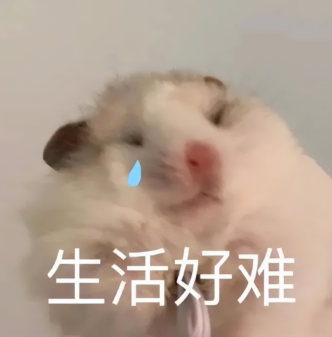 因为着急找工作被骗了2万元,找工作被骗了10万怎么调整心态