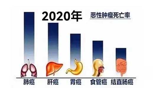 肝脏出现疾病原因有哪些,肝脏出现问题的前兆