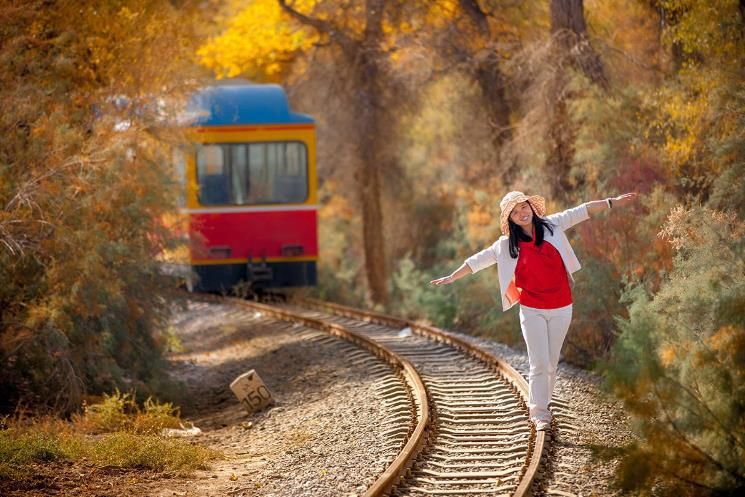 棰濇祹绾虫棗鑳℃潹鏋楅噾鑹茬殑绉嬪ぉ,棰濇祹绾虫棗鐨勯噾鑹茶儭鏉ㄦ灄