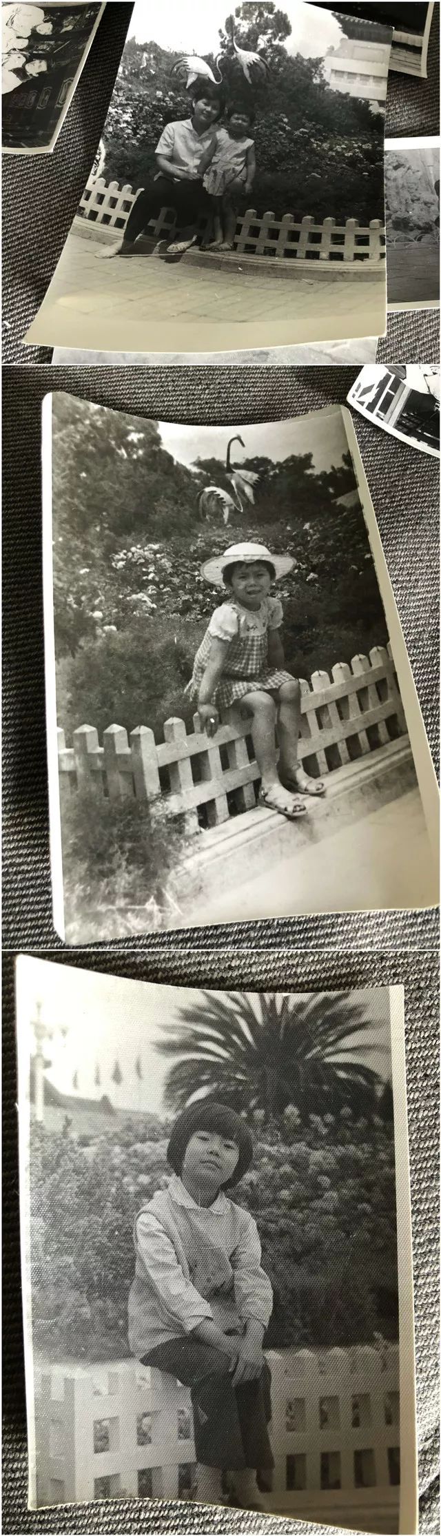 70骞翠唬鐨勬垜鐜板湪鐨勬垜,70骞翠唬鐨勬垜