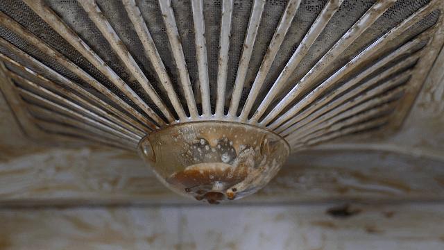 这些良心国货便宜好用你必须知道,这几样国货虽丑但真的很好用