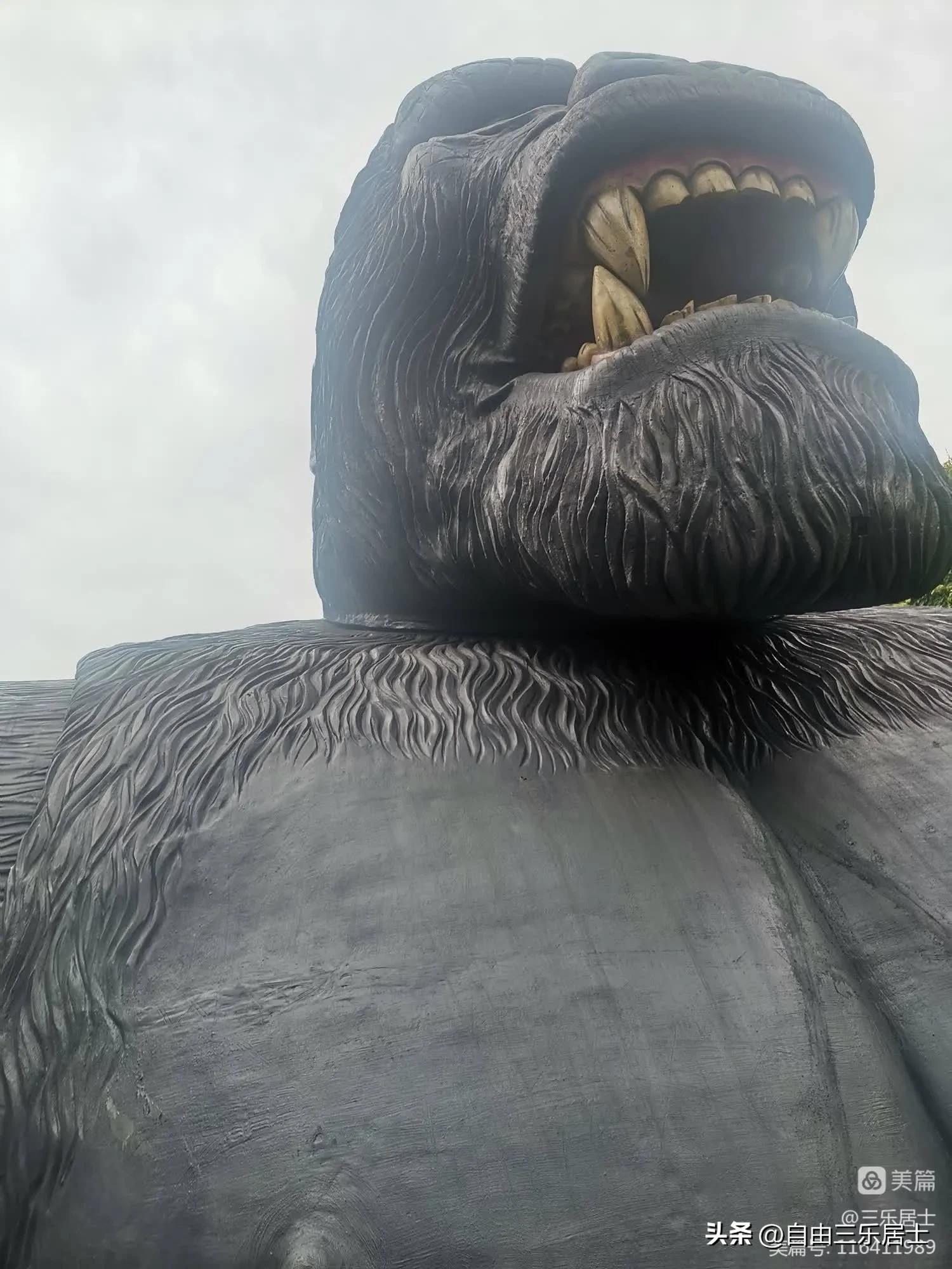 常州恐龙园游记,常州恐龙园游记图