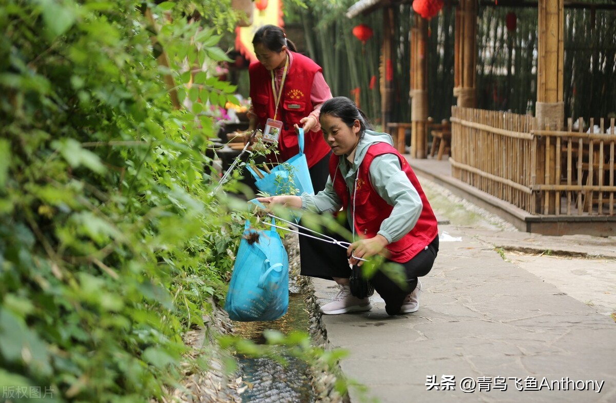 绿色是发展的最美底色,绿色生态与和谐共生