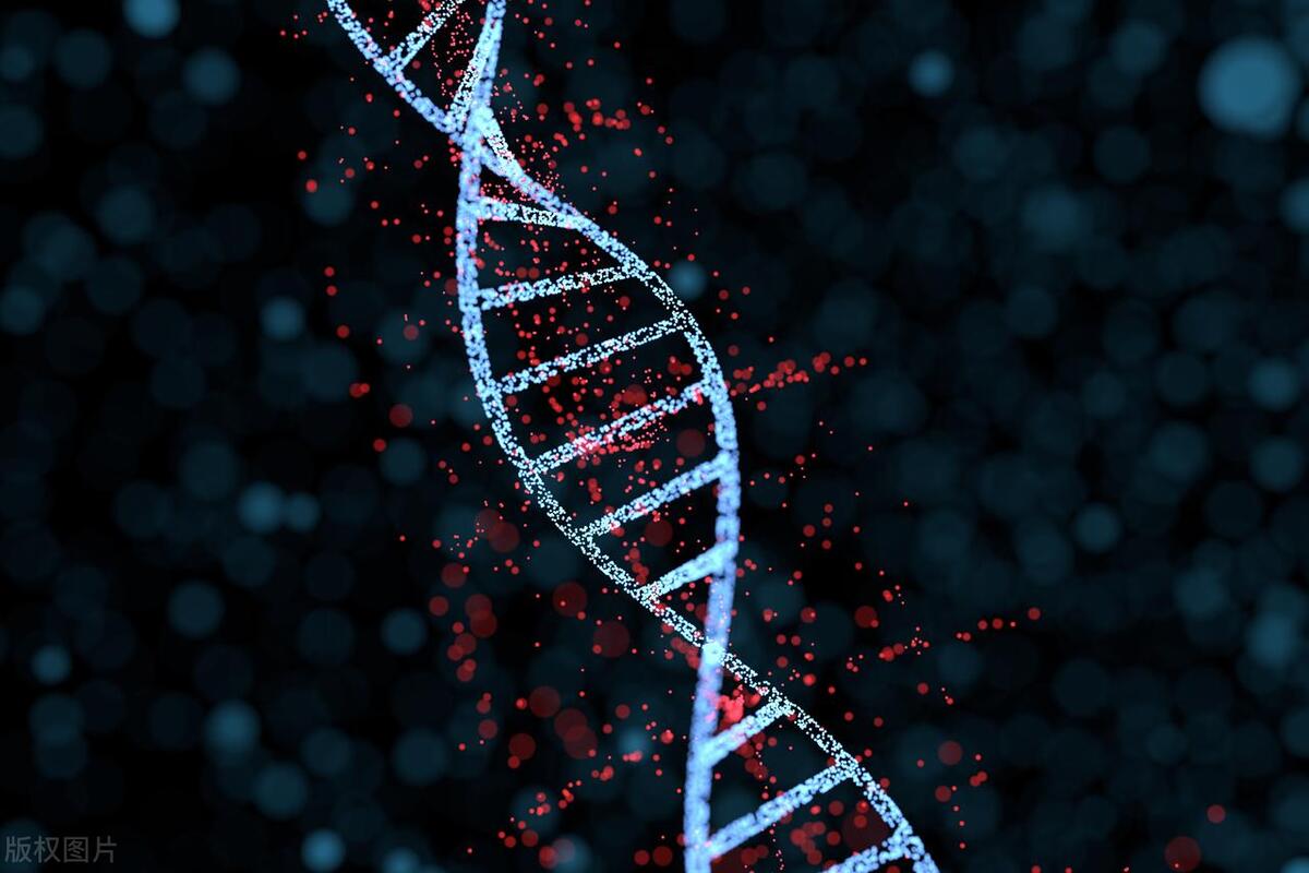 为什么女性会得雄激素不敏感症？主要由遗传因素引起，要及时治疗