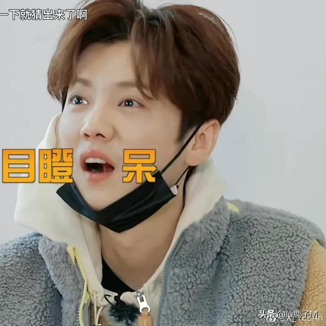 五哈观后感,五哈3观后感