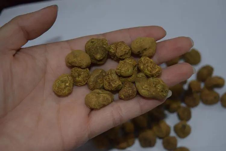 骨康胶囊治阴虚还是阳虚,骨康胶囊对骨质疏松有用吗