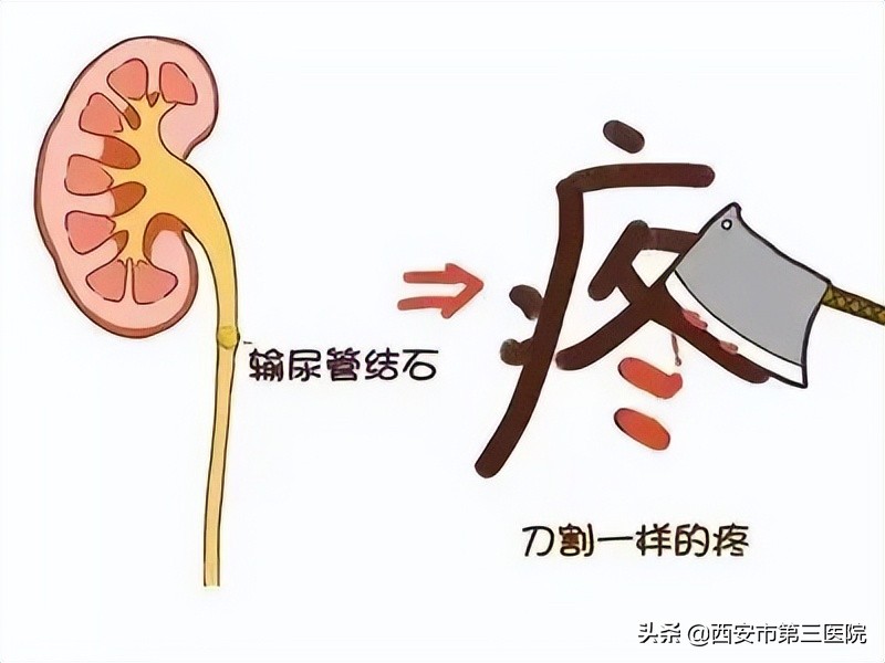 高温红色预警暴雨预警,高温红色预警和暴雨蓝色预警四川