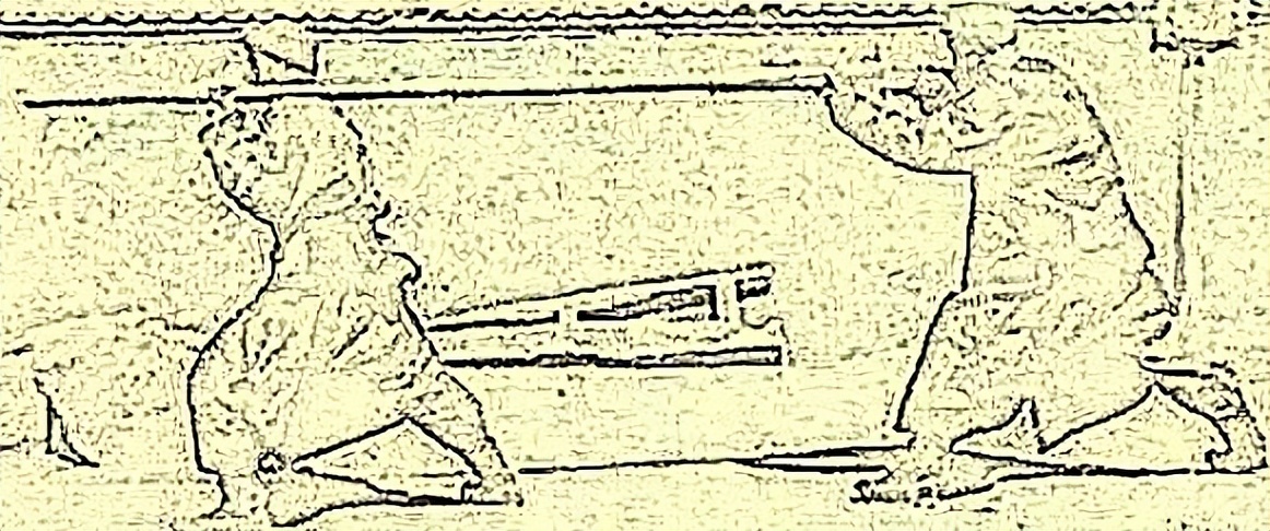 旅途见闻第二季,旅途中的见闻真实故事