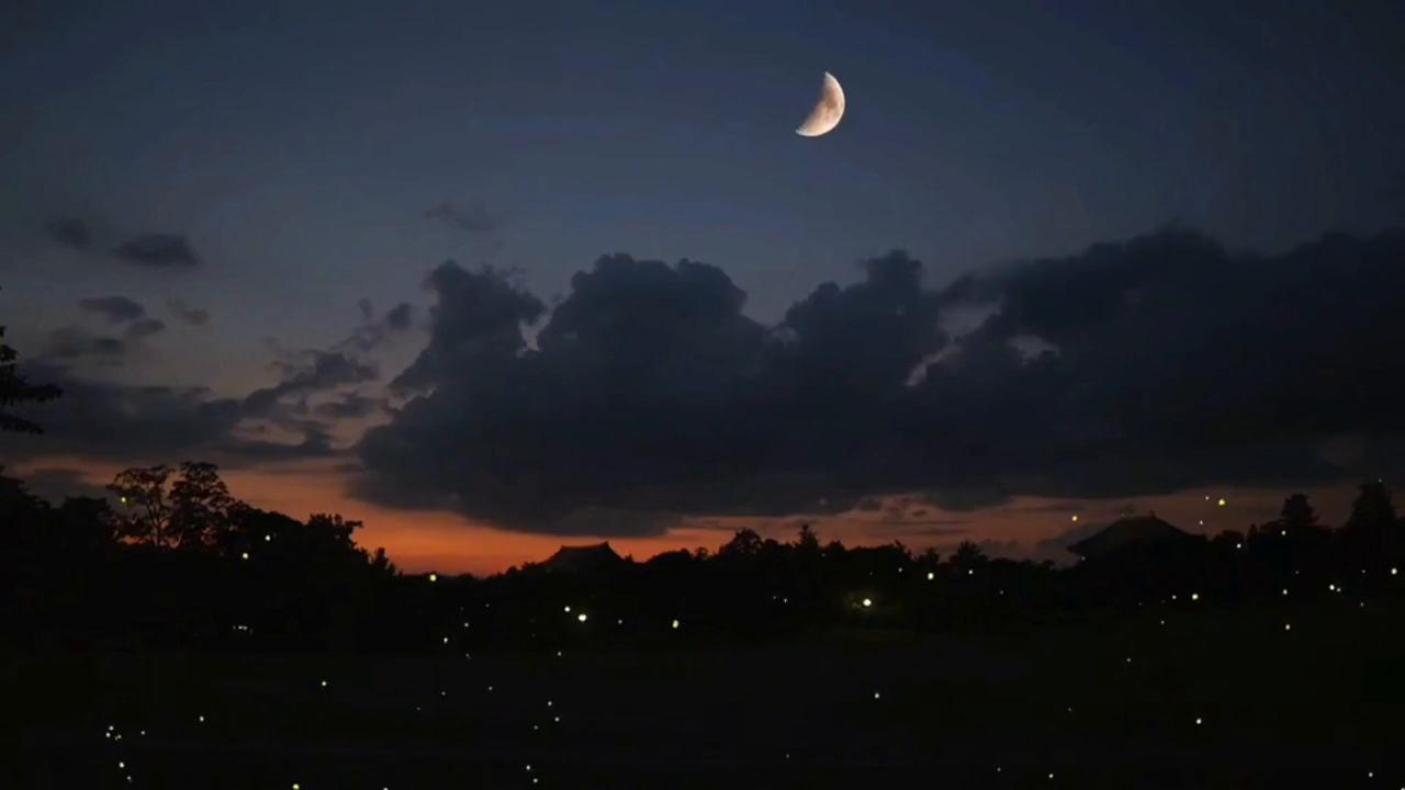 愿所有的相遇都恰逢其时小说感悟,央视文案所有的相遇都是恰逢其时