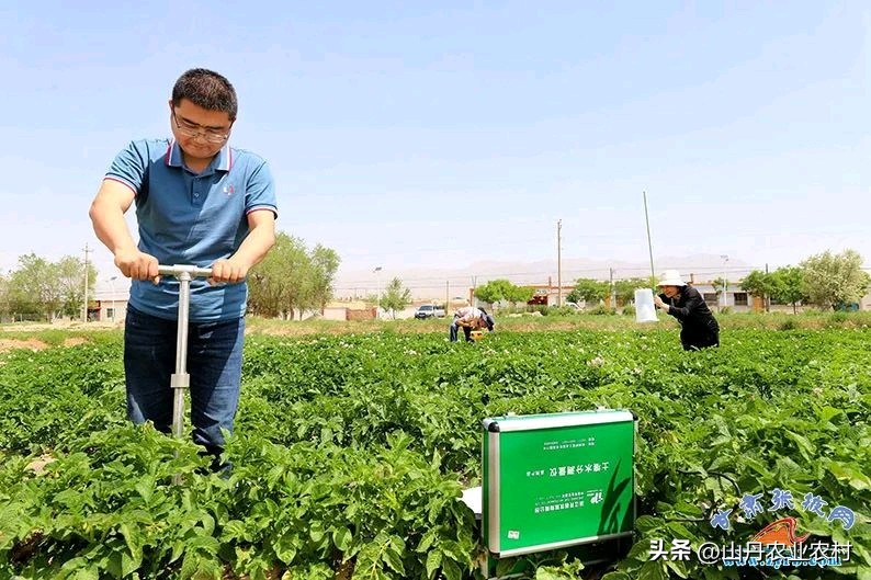 共谋马铃薯产业发展战略,加工型马铃薯产业发展思路