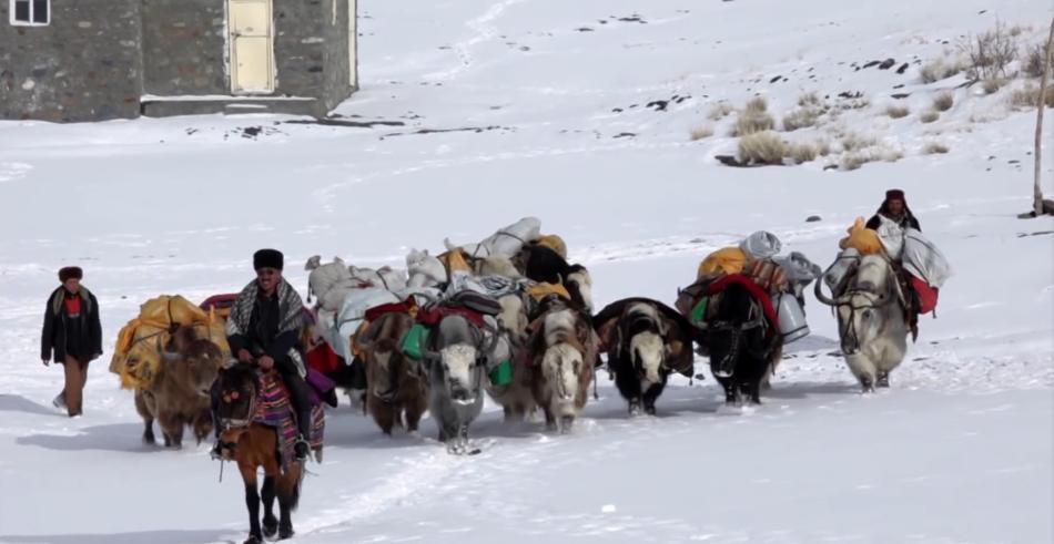 吉尔吉斯人：用100头羊换老婆，没羊男人只能孤独终老