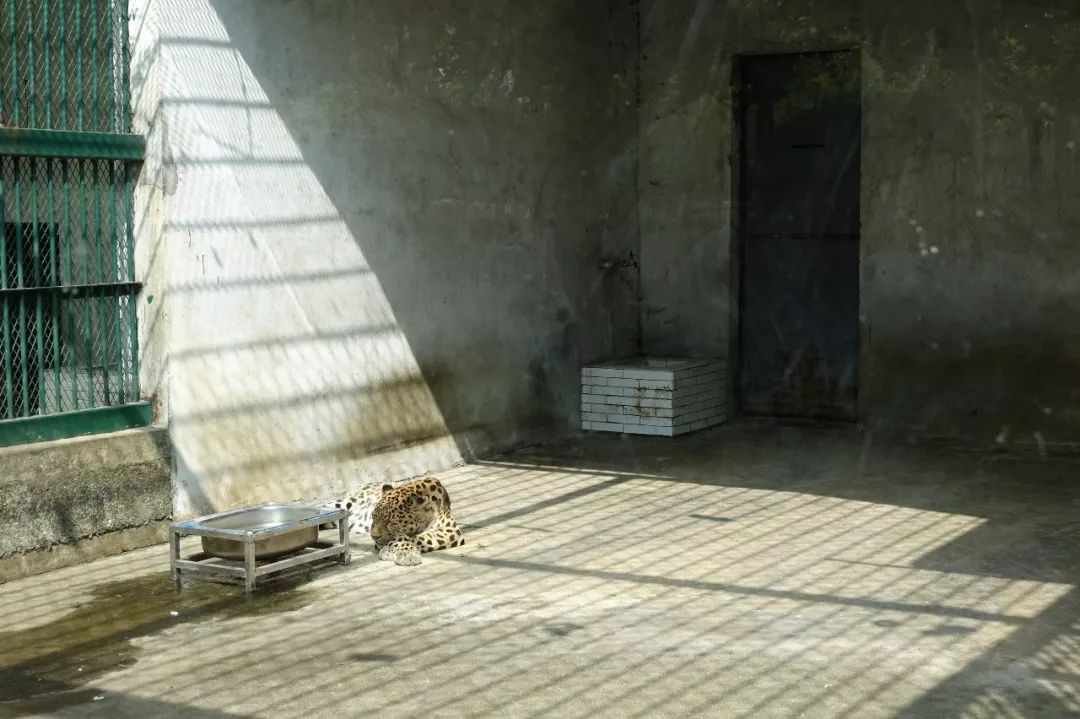 泰州动物园在哪里,泰州动物园在哪