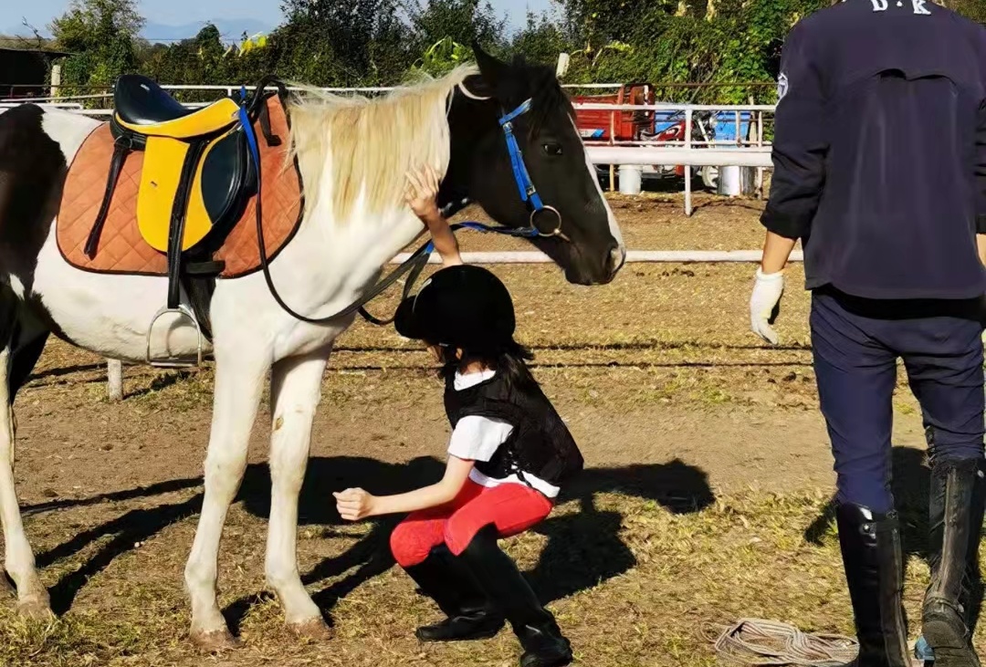 2023华杯赛夏令营,华誉外交官