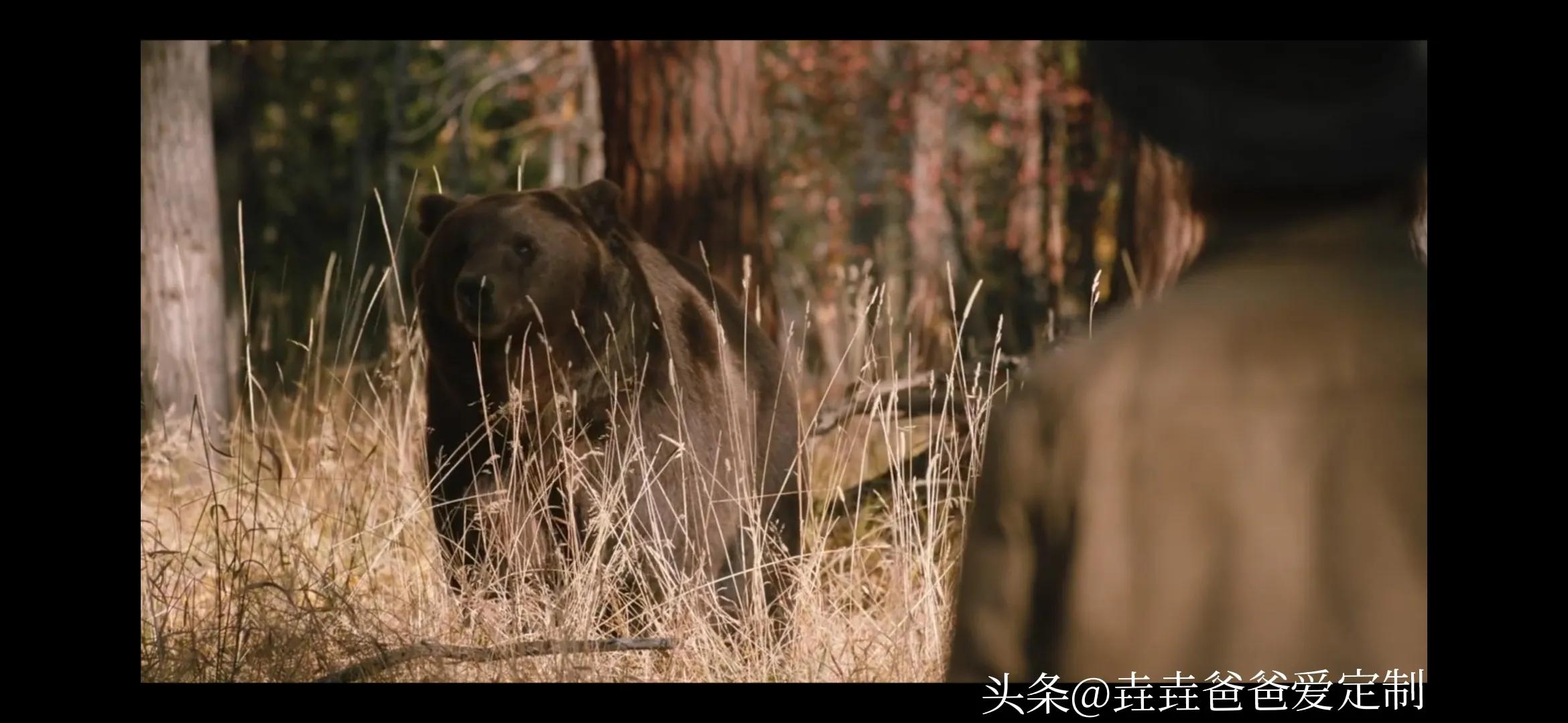 黄石第一季精彩镜头在第几集,黄石第一季有几集