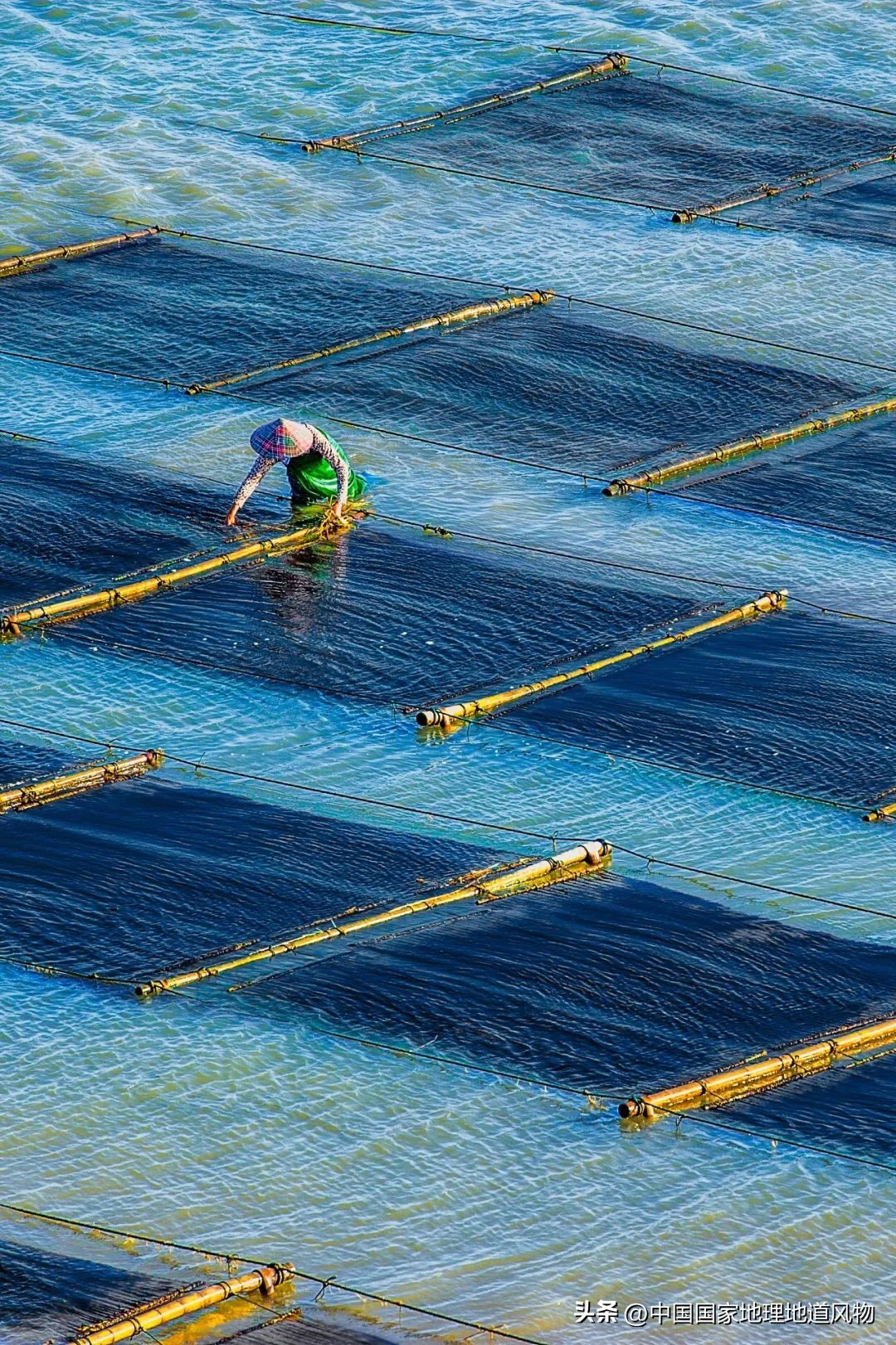 中国人眼中的福州,中国人的美食为什么这么好吃啊