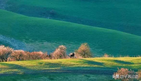 你怎么争也争不过天小视频,你怎么争都争不过天道