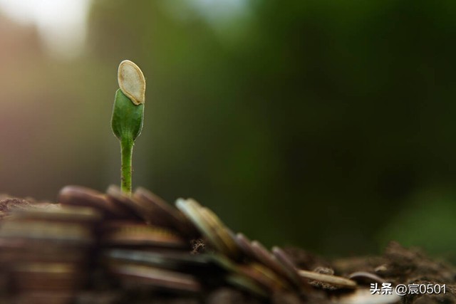 女儿小时候婆婆给捏奶核她不让,如今后悔:外孙连母乳都吃不上