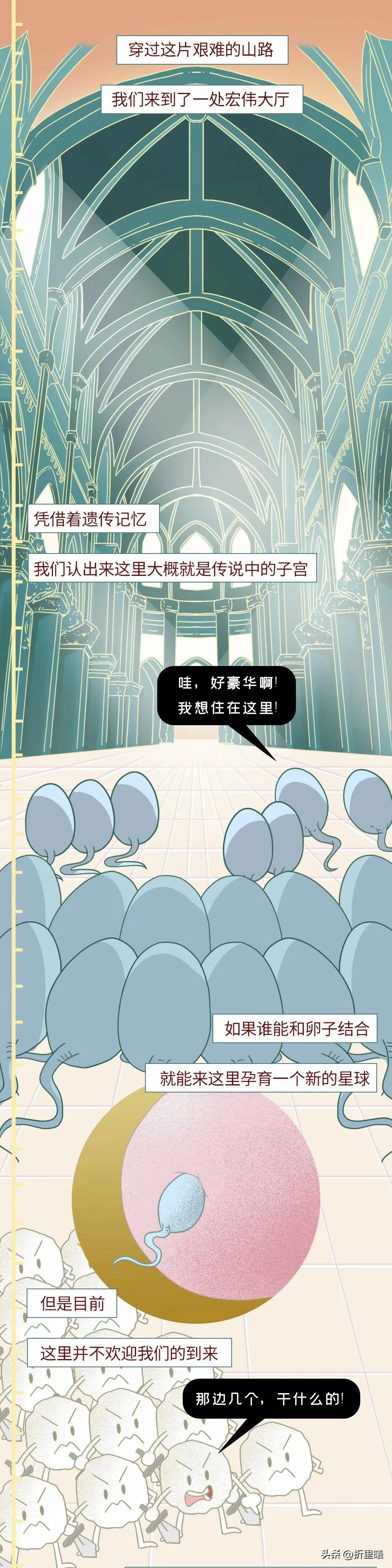 精子进入女生体内的24小时全过程曝光！