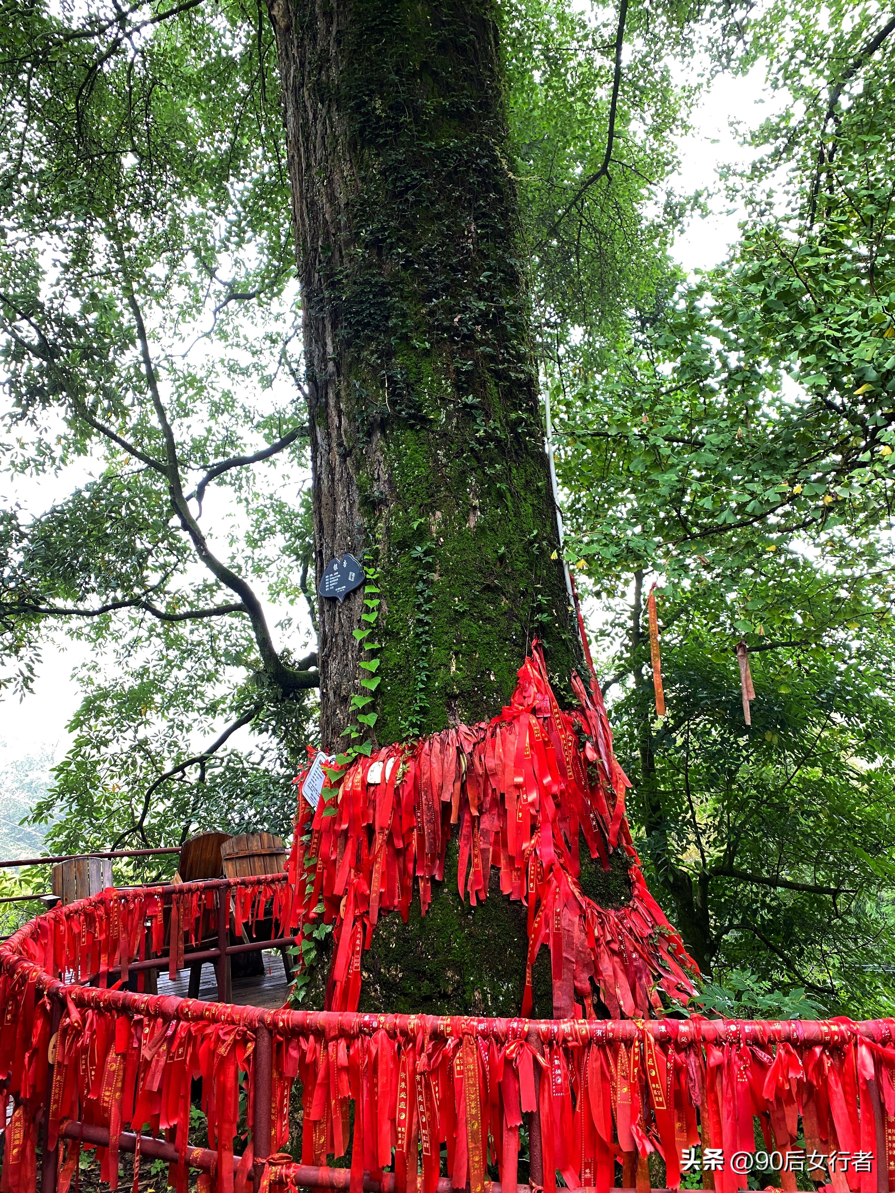 走进山间的小路感受大自然,成都深山老林旅游最好去处