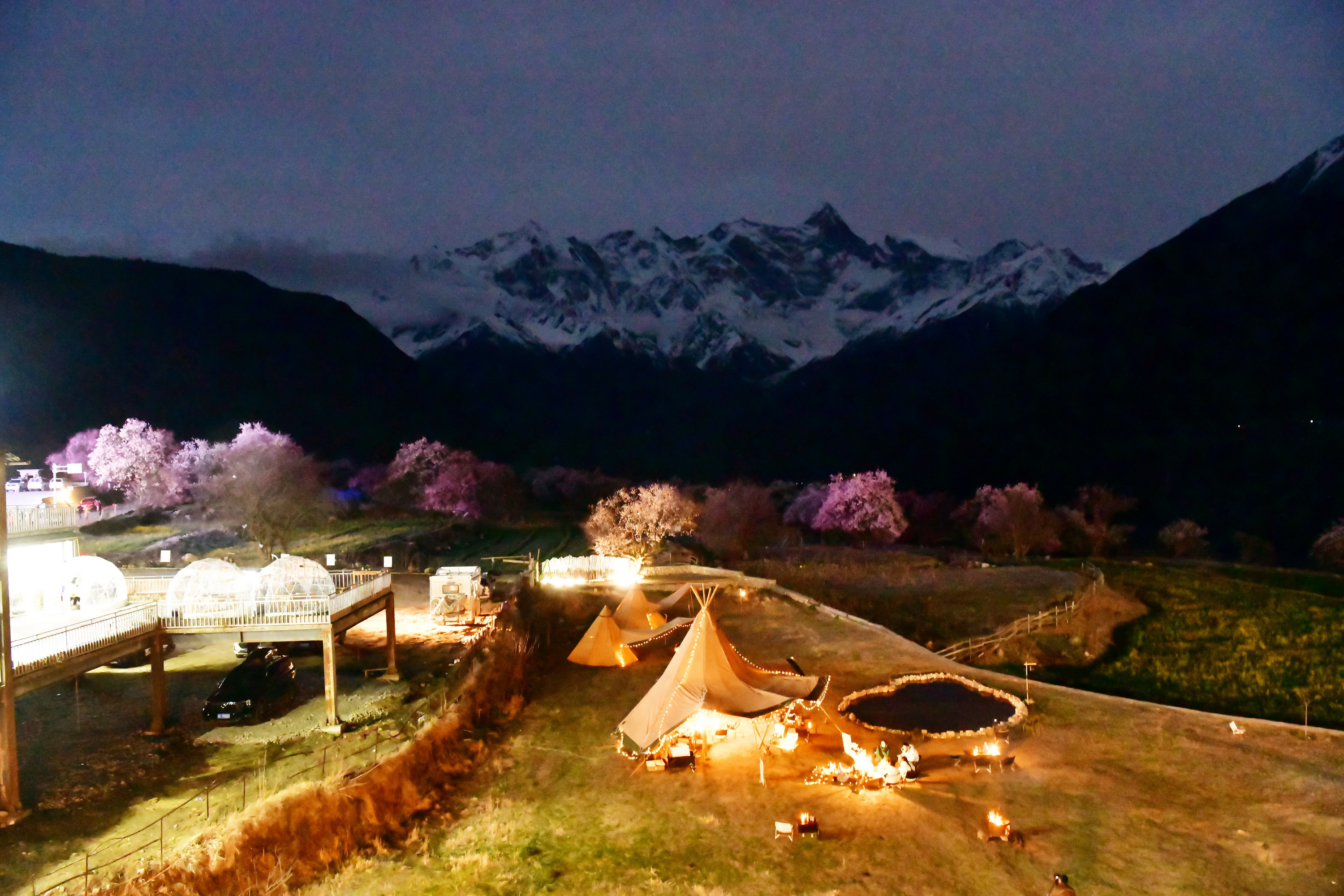 我的林芝一日游攻略,林芝看桃花西藏之旅