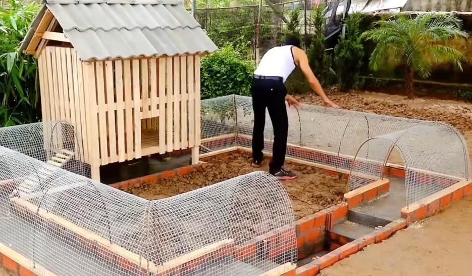 小哥把竹子编织成长方形鸡笼,小哥建造鸡舍