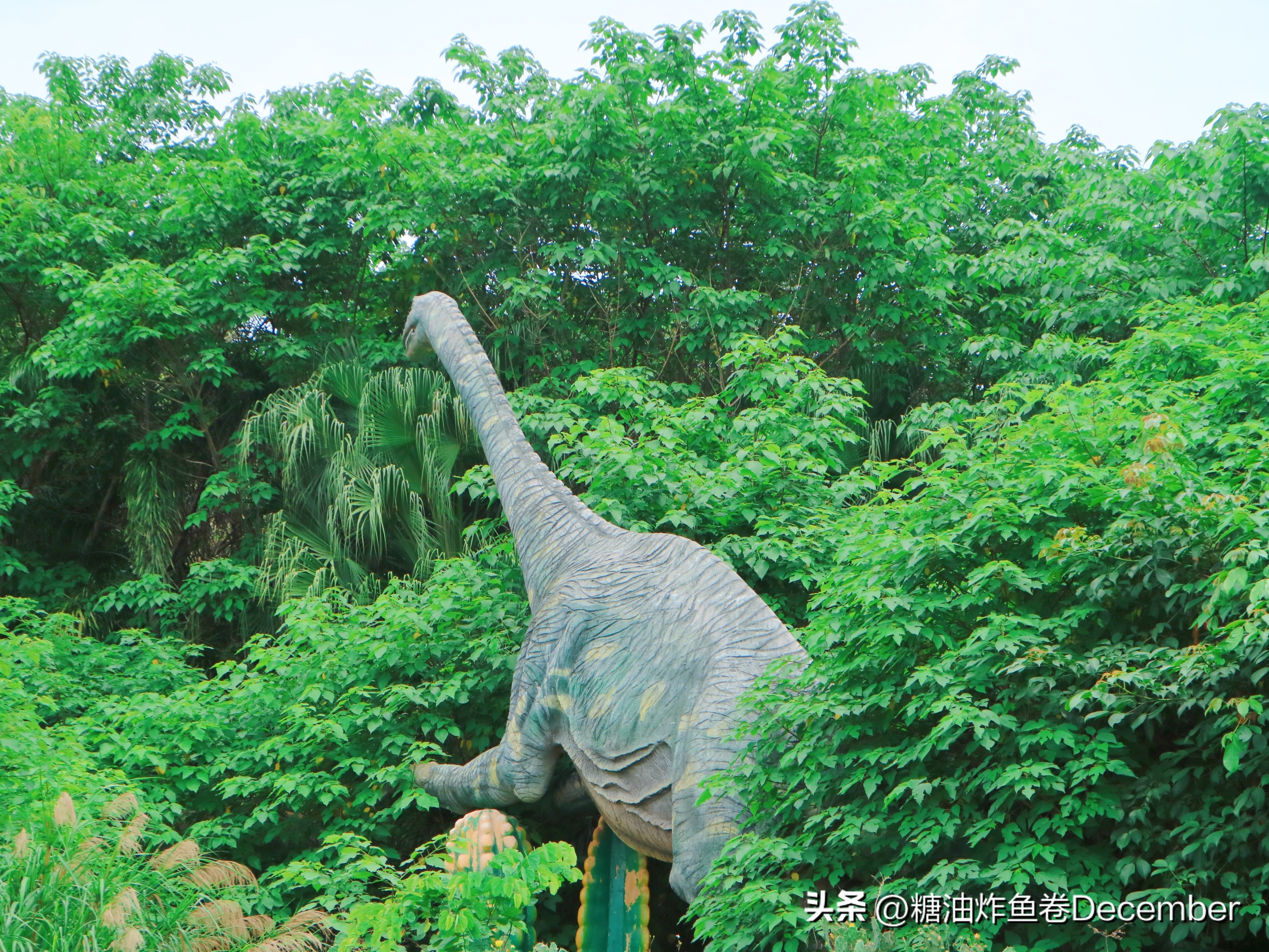 扶绥龙谷湾恐龙公园游玩攻略,扶绥龙谷湾恐龙公园在哪里