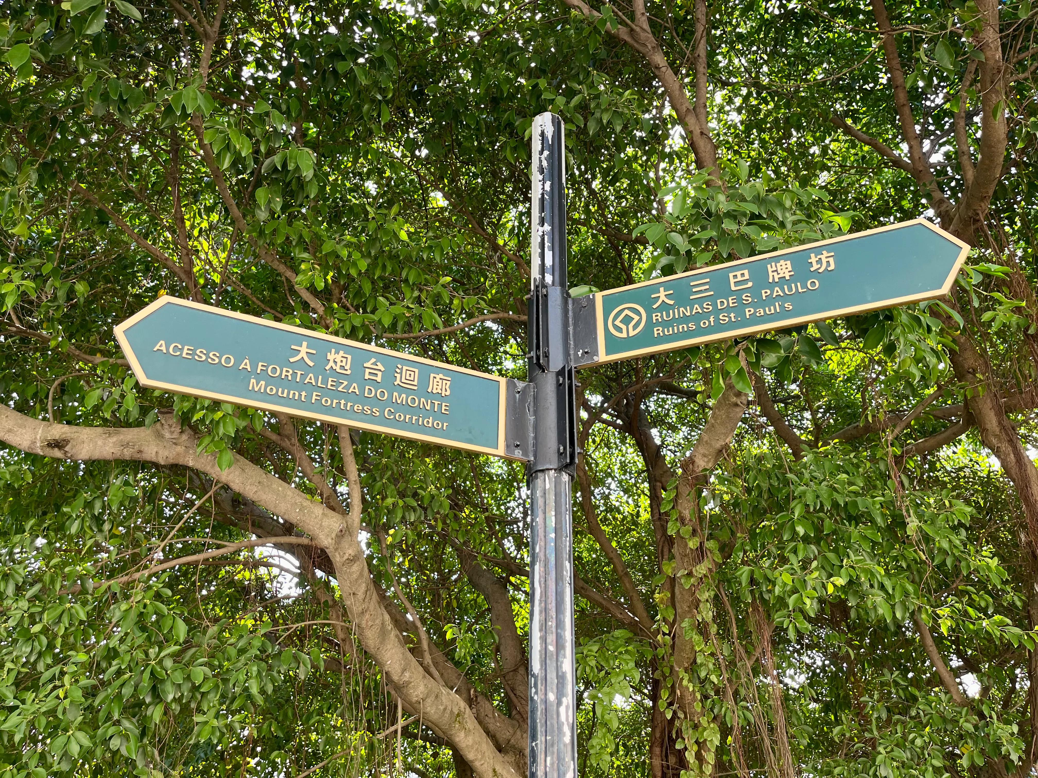 澳门旅游攻略不购物,澳门一日游攻略必备