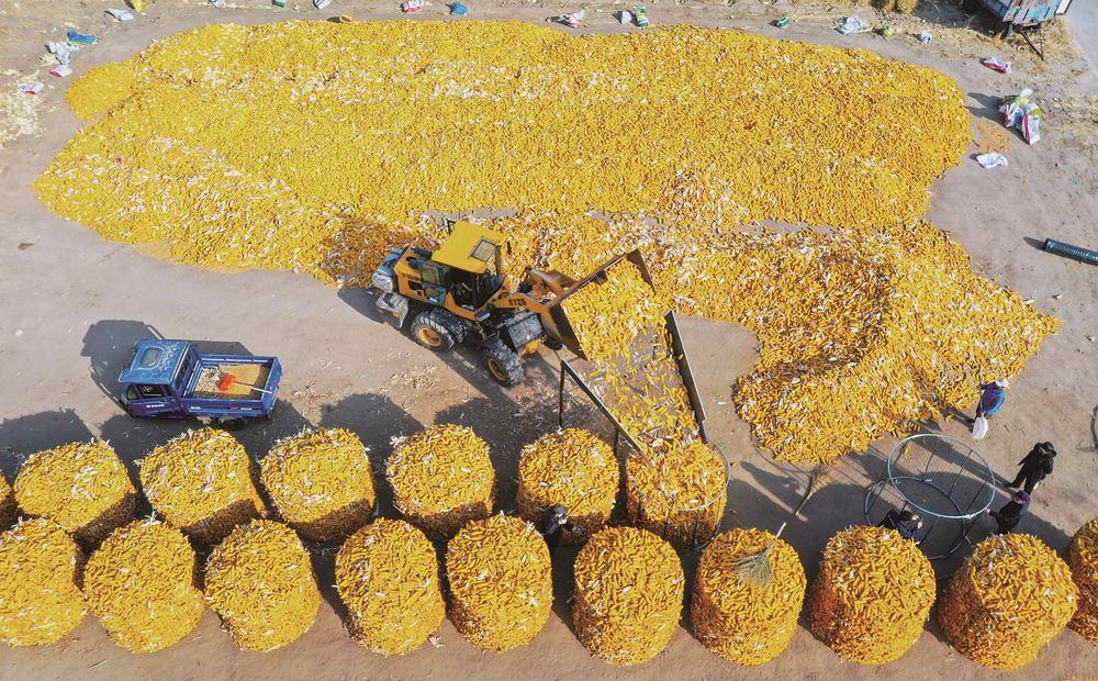 接续奋斗未来可期——从政府工作报告看吉林振兴机遇