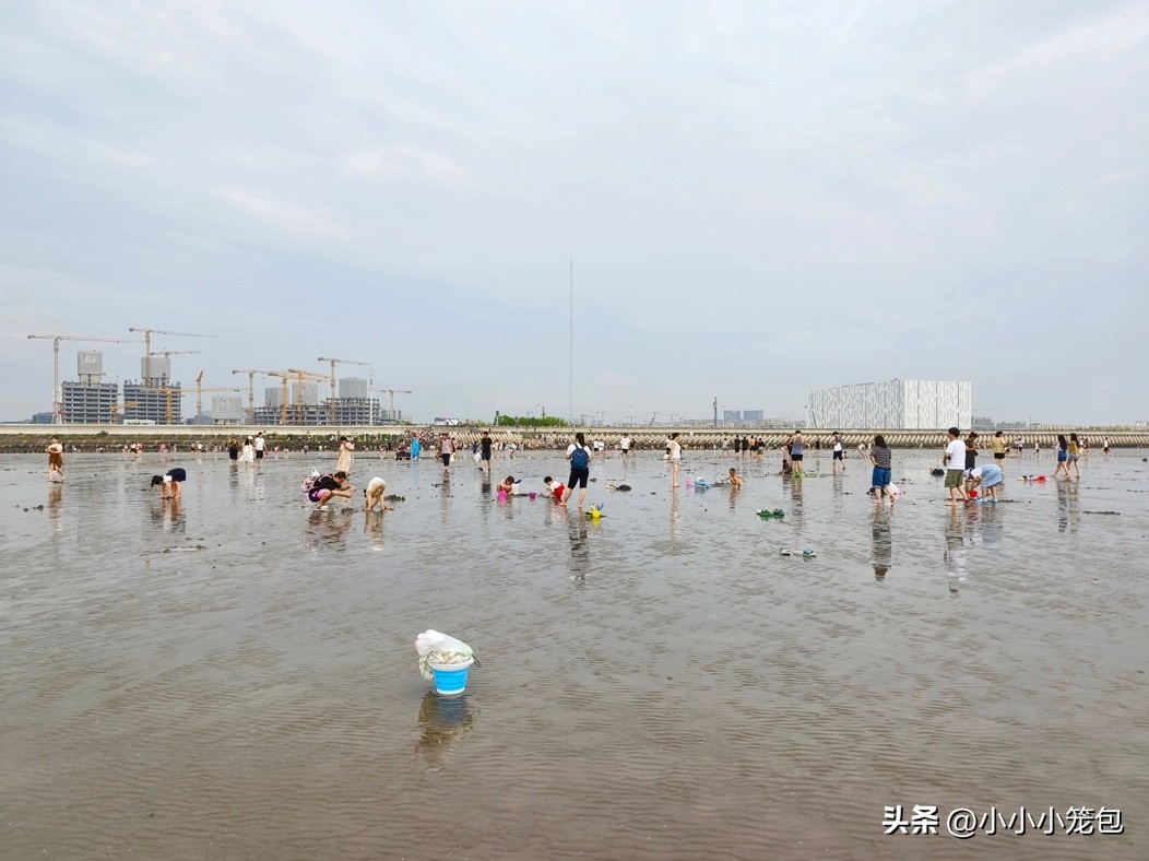 如何带娃赶海,带小朋友赶海攻略