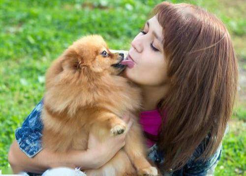 博美犬为什么不建议养在家里,博美犬为什么在家里不敢走动