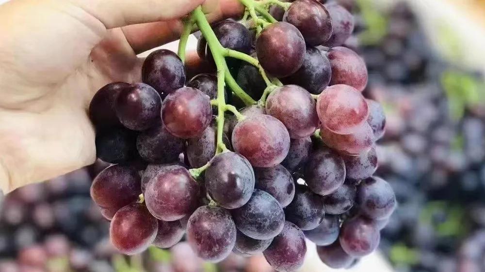 水果店鸡心小苹果怎么打包陈列,水果店恐龙蛋怎样打包陈列