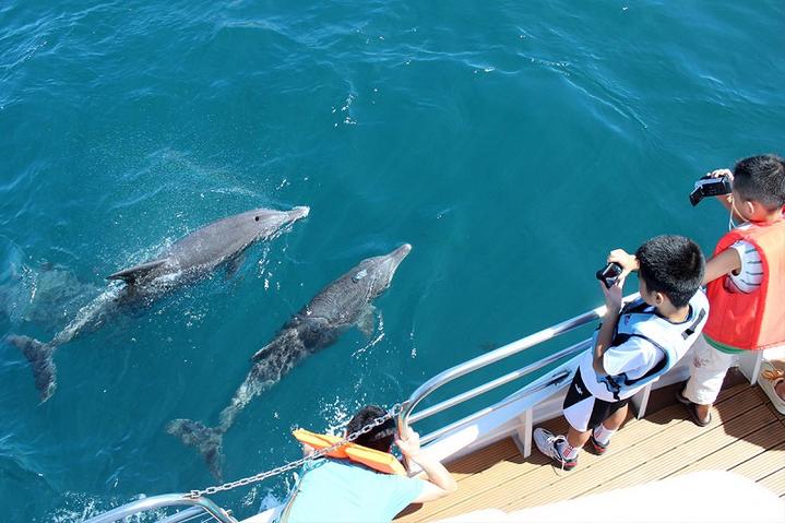 日本10月1日旅游攻略,日本京都五日自由行攻略